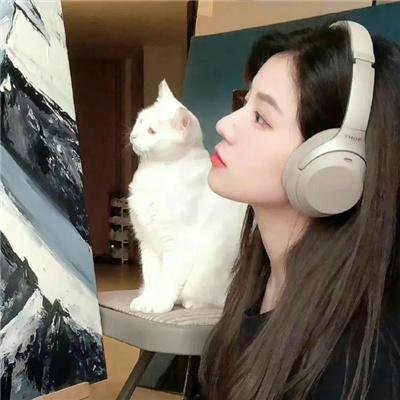 儿女英雄传